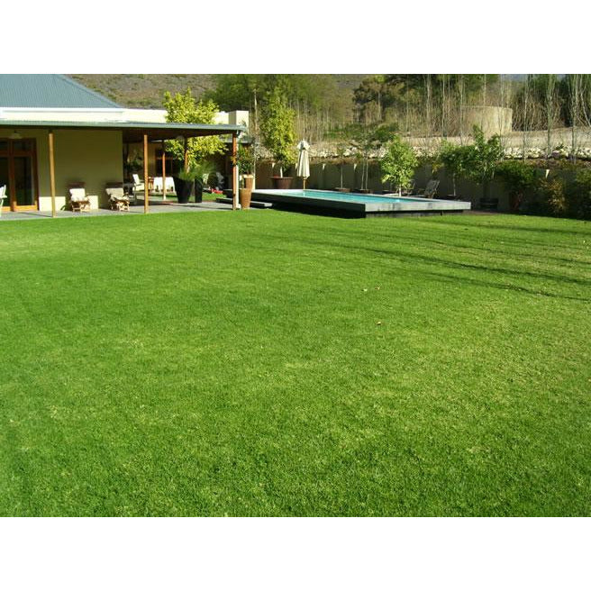 20 SQM Kikuyu Lawn