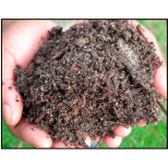 15 Cubic Potting Soil